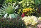 Keiravilleplanting-garden-and-landscape-design-24.jpg; ?>